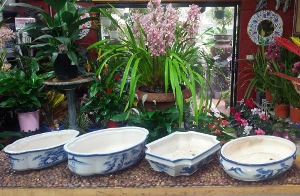 Bonsai Pots 1